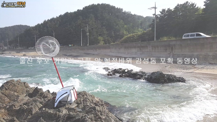 첨부이미지